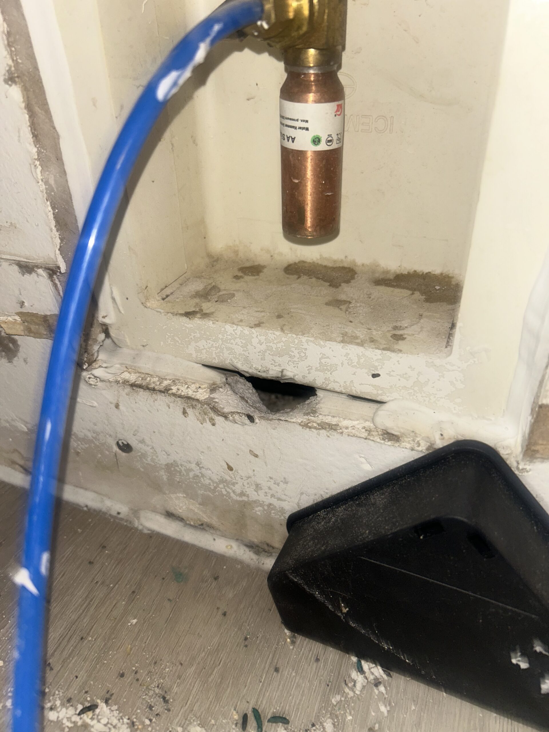 Copper pipe penetration sealed to block rodent entry