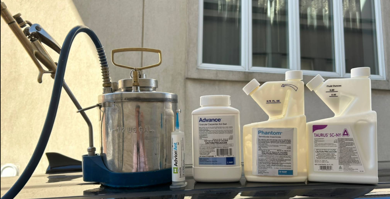 Professional ant-control products used by NYE, beyond DIY options