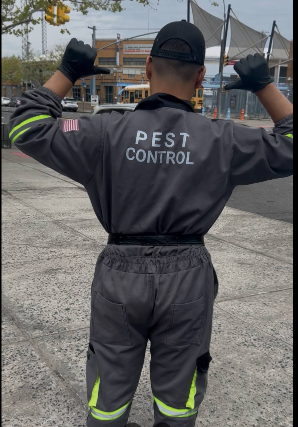 Uniformed, licensed New York Exterminating technician on a commercial job in NYC