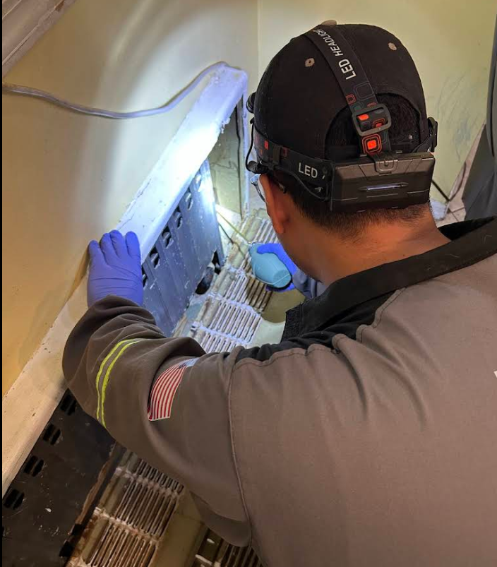 Licensed operator treating a wall void before sealing a rodent entry point, NYC
