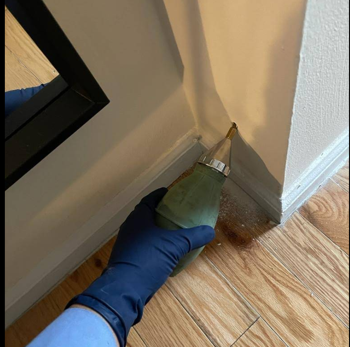 Technician dusting a wall void for mice, Manhattan