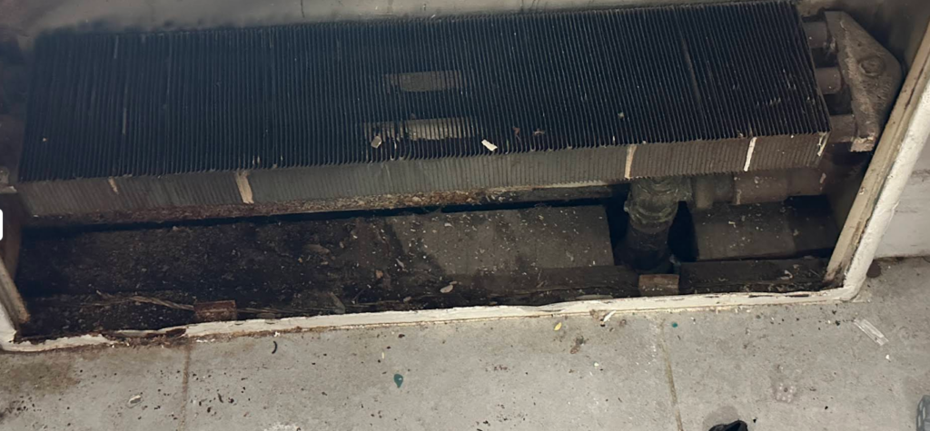 Open gap beneath a radiator with rodent-entry conditions before sealing, NYC