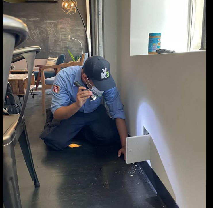 NYE technician inspecting a baseboard for mice and cockroaches in a commercial space, NYC