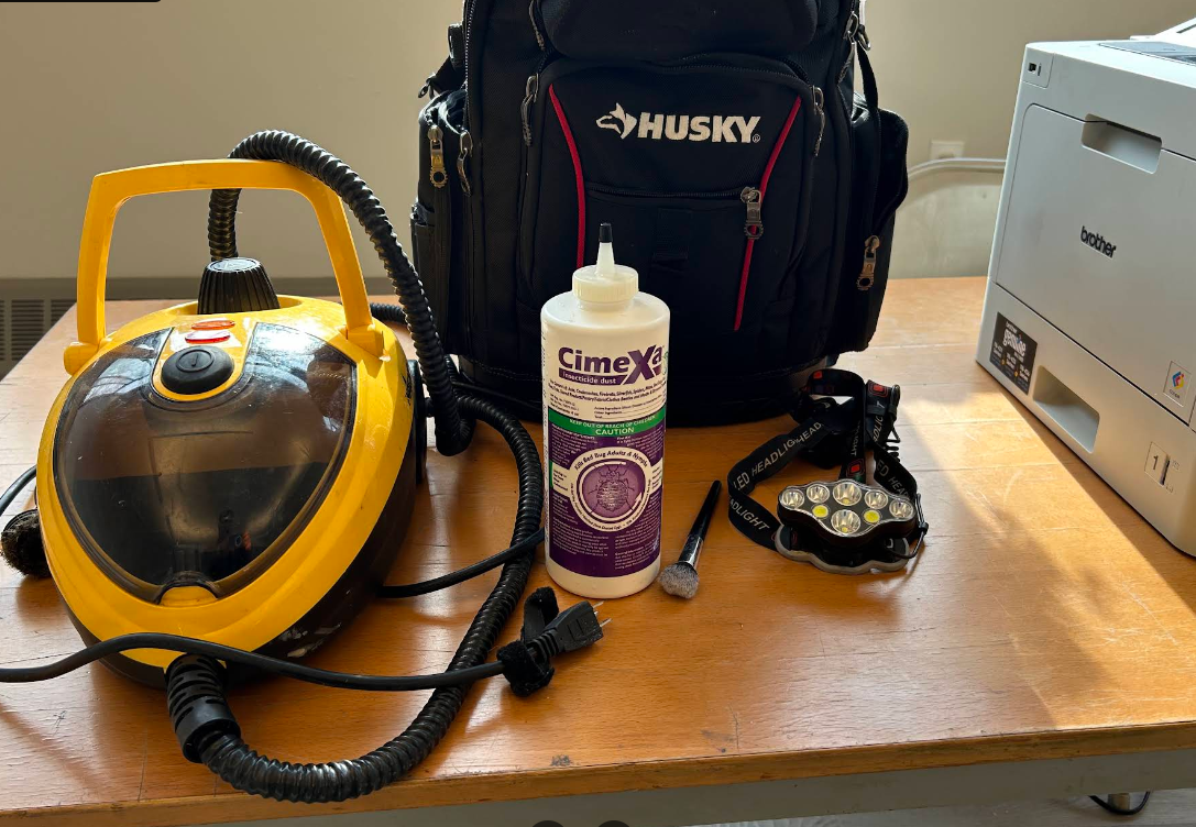 Chemical-free bed bug treatment with steam and silica dust, NYC