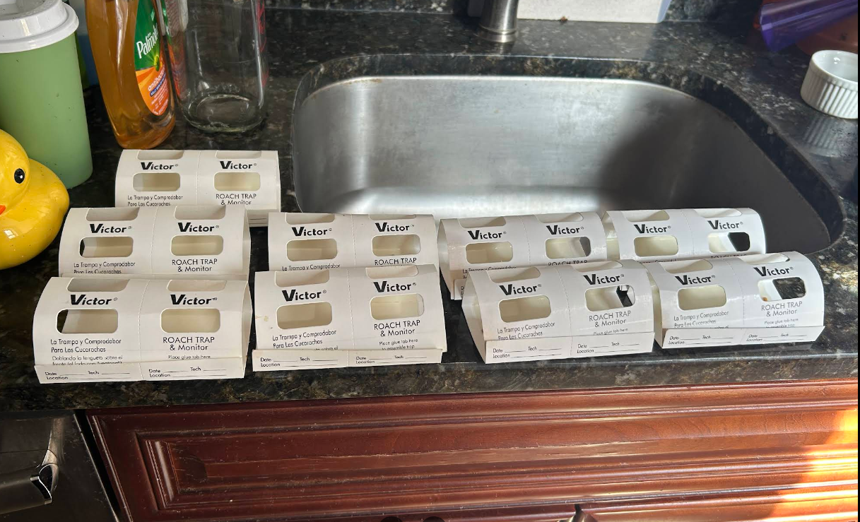 German cockroach monitors placed for follow-up verification (IPM), NYC