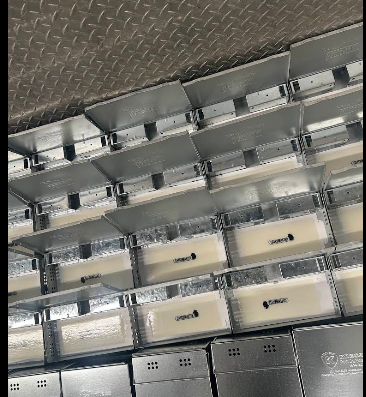 Multi-catch rodent stations staged in volume for a supermarket account