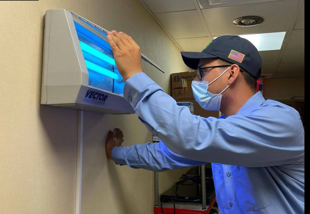 Servicing a commercial UV insect light in a restaurant kitchen, NYC