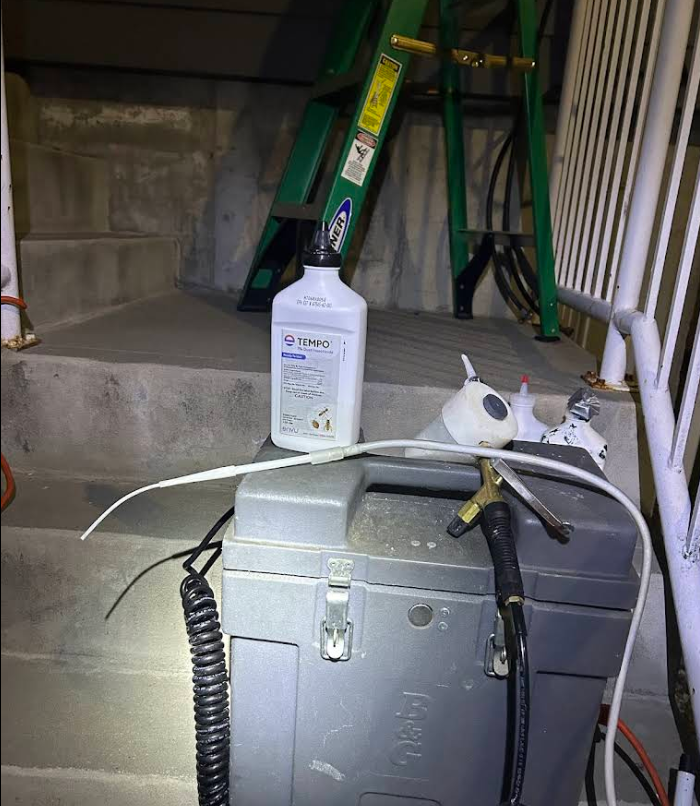 Professional power-duster setup for stinging-insect treatment, NYC