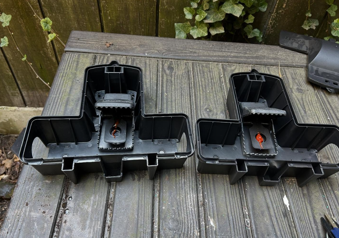 Tamper-resistant rodent bait stations installed on a building exterior
