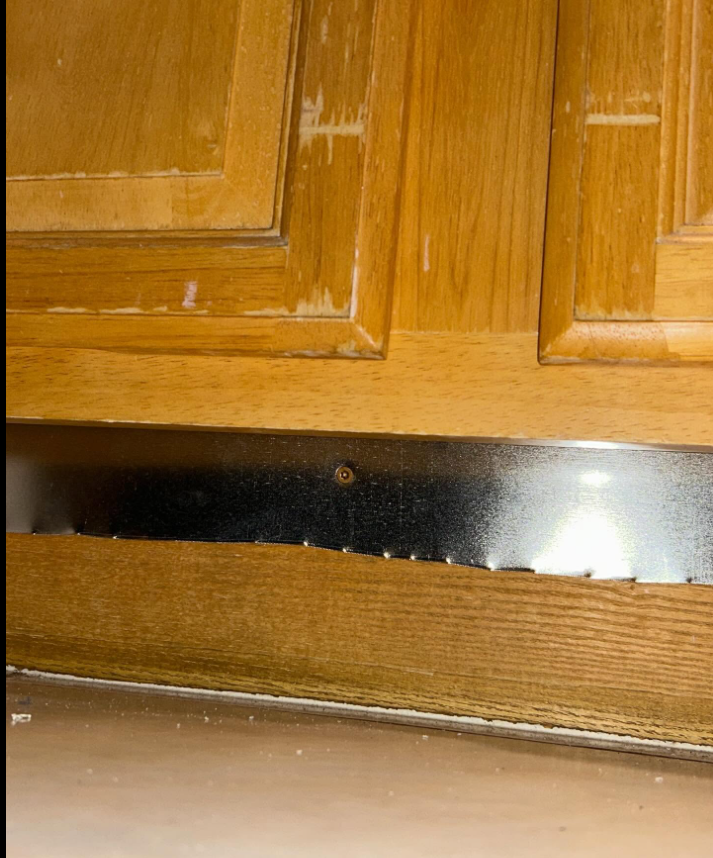 Gap under an exterior door — a common rodent entry point needing exclusion