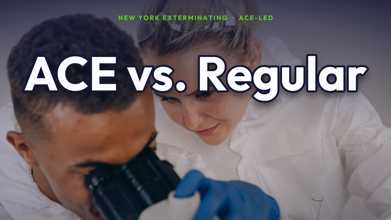 ACE vs a regular exterminator in NYC.