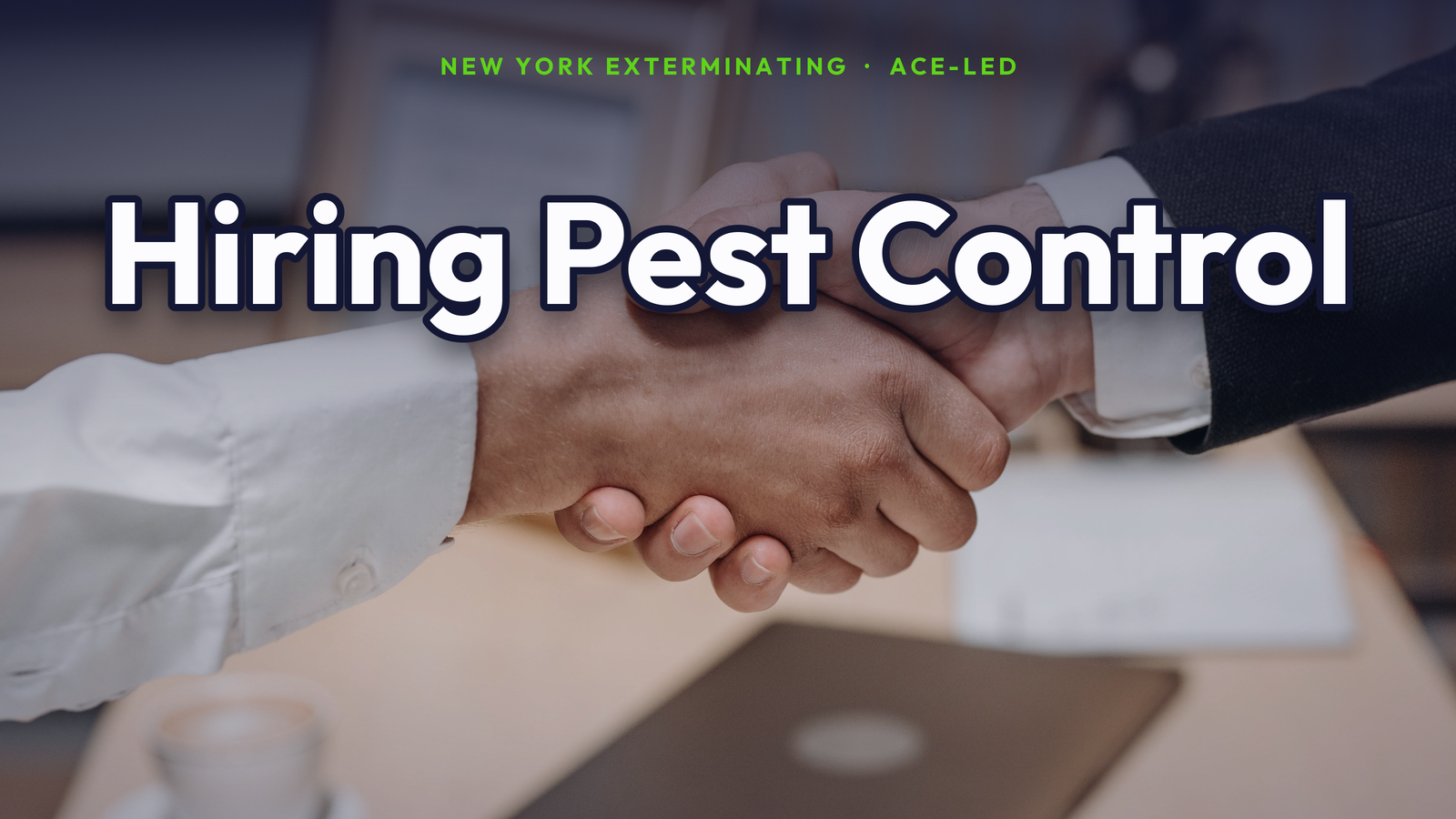How to hire a pest control company in NYC.