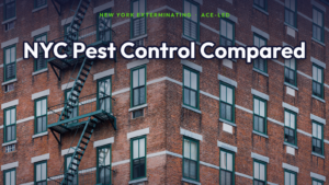 NYC pest control companies compared, a New York apartment building, by New York Exterminating, ACE-led.