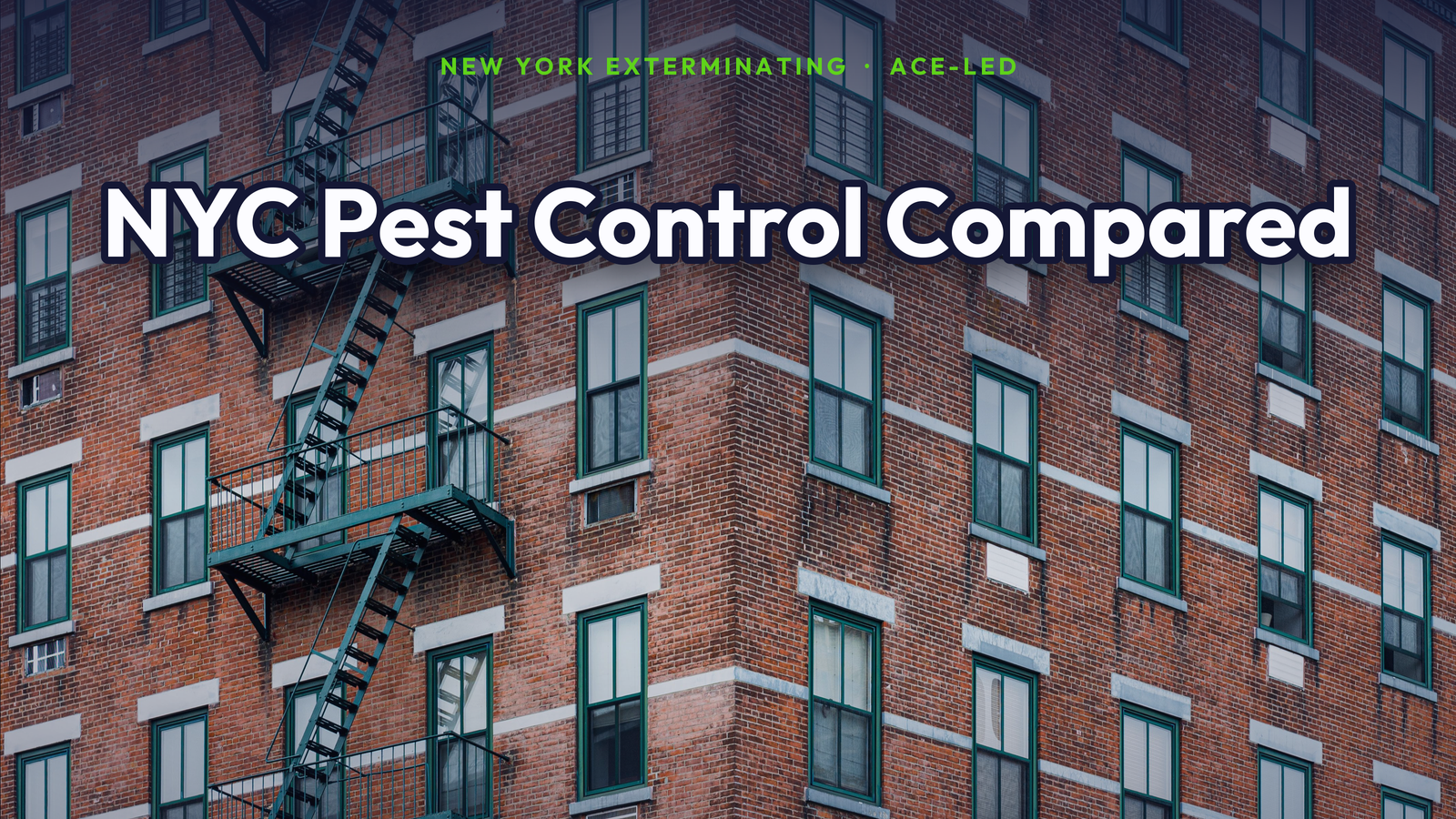 NYC pest control companies compared, a New York apartment building, by New York Exterminating, ACE-led.