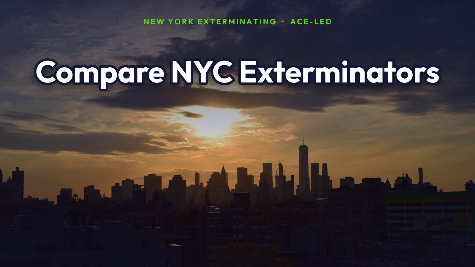 Comparing NYC exterminators against the Manhattan skyline, by New York Exterminating, ACE-led.