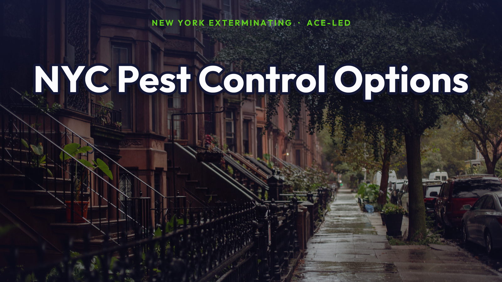 NYC pest control options compared on a Brooklyn brownstone street, by New York Exterminating, ACE-led.
