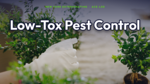 Low-toxicity, eco-conscious pest control in NYC.