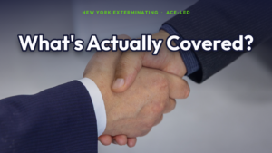 What NYC pest control warranties actually cover.