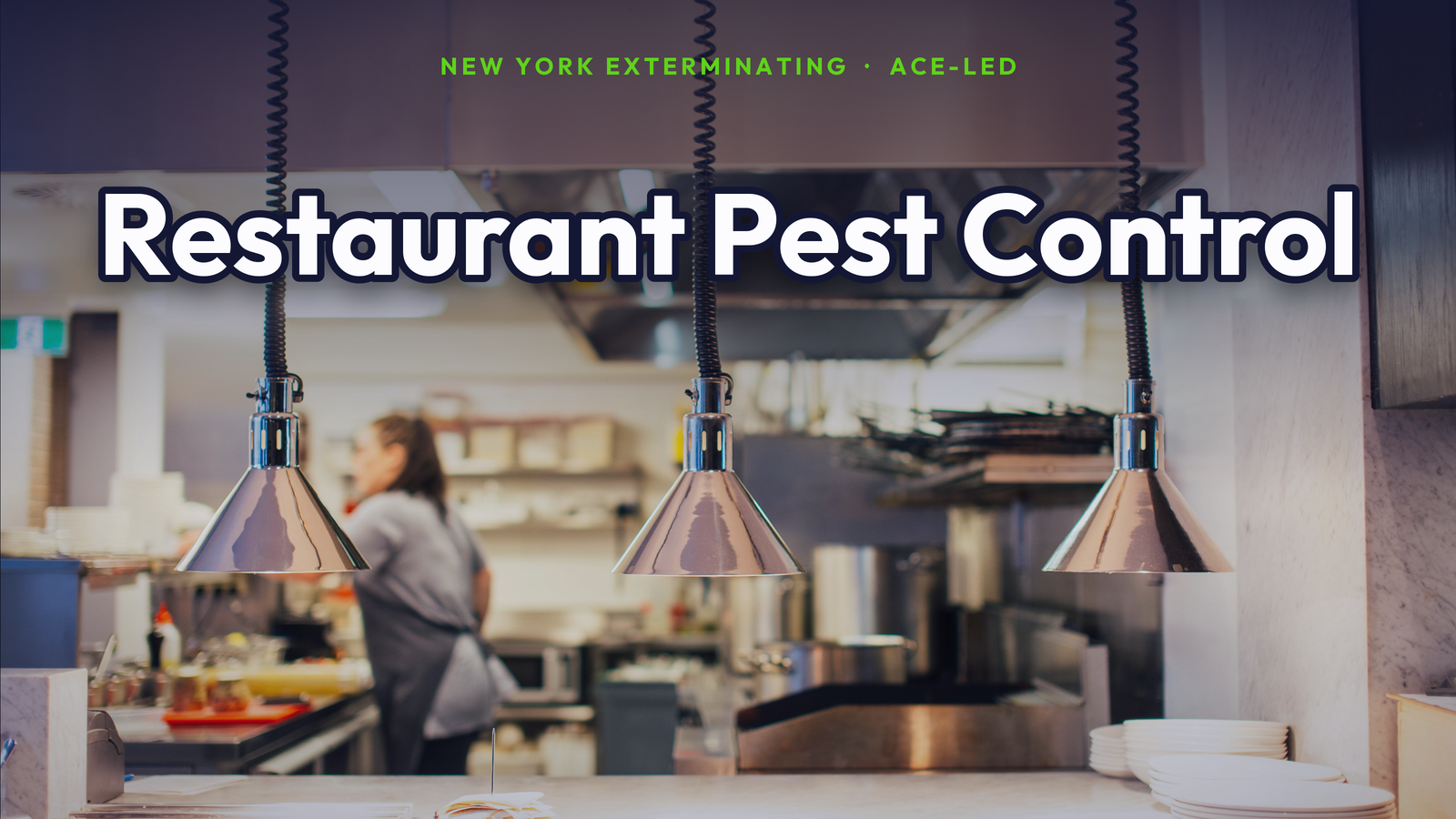 Restaurant and commercial pest control in NYC.