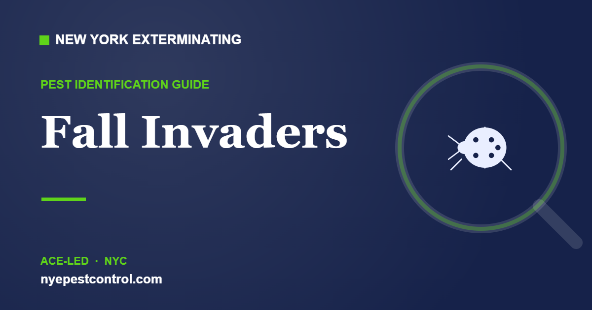 Illustrated guide: Fall Invaders — New York Exterminating