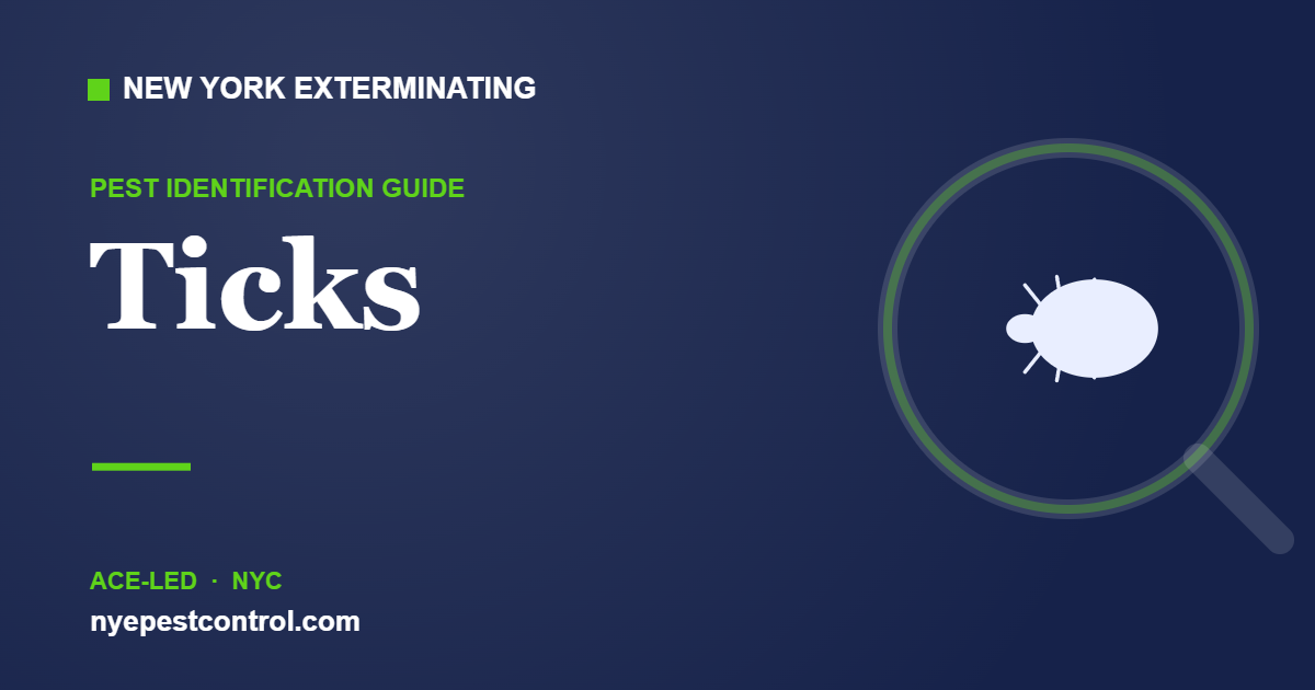 Illustrated guide: Ticks — New York Exterminating