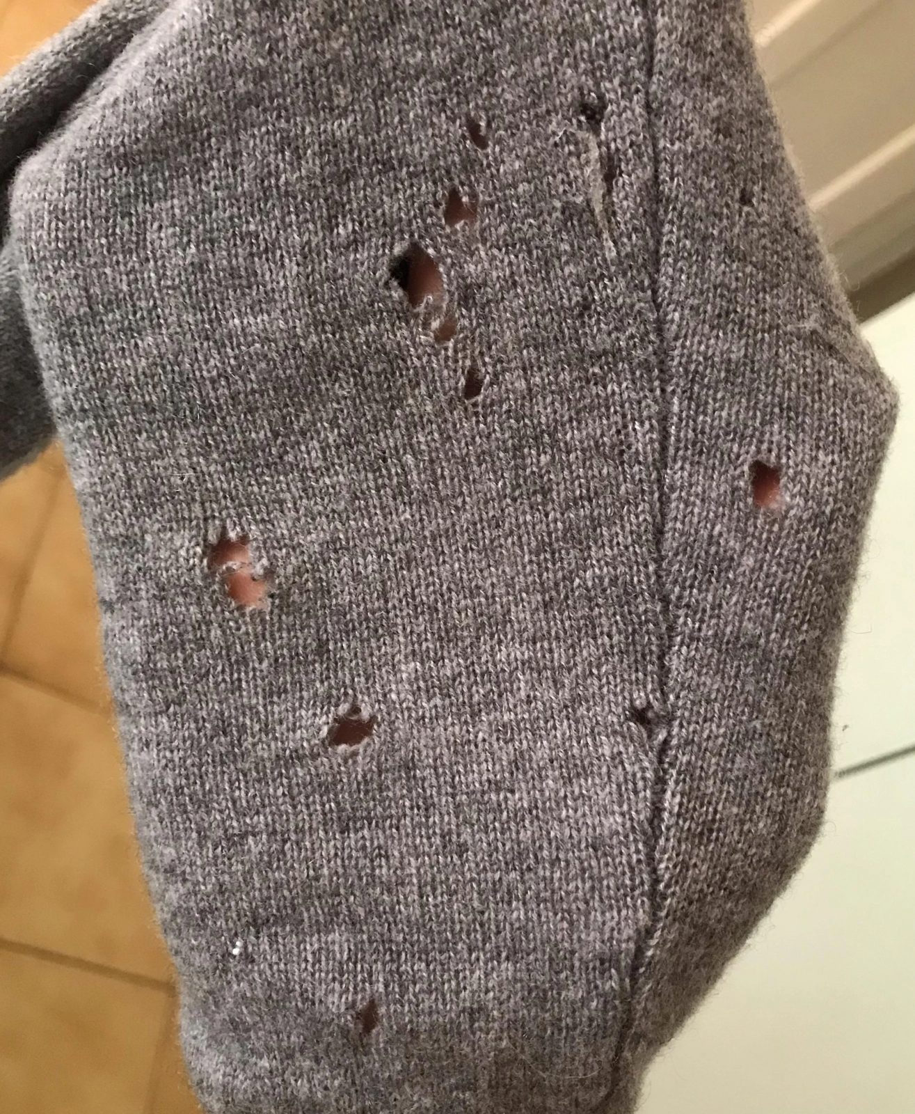 Gray cashmere sweater with multiple holes from clothes moth larvae