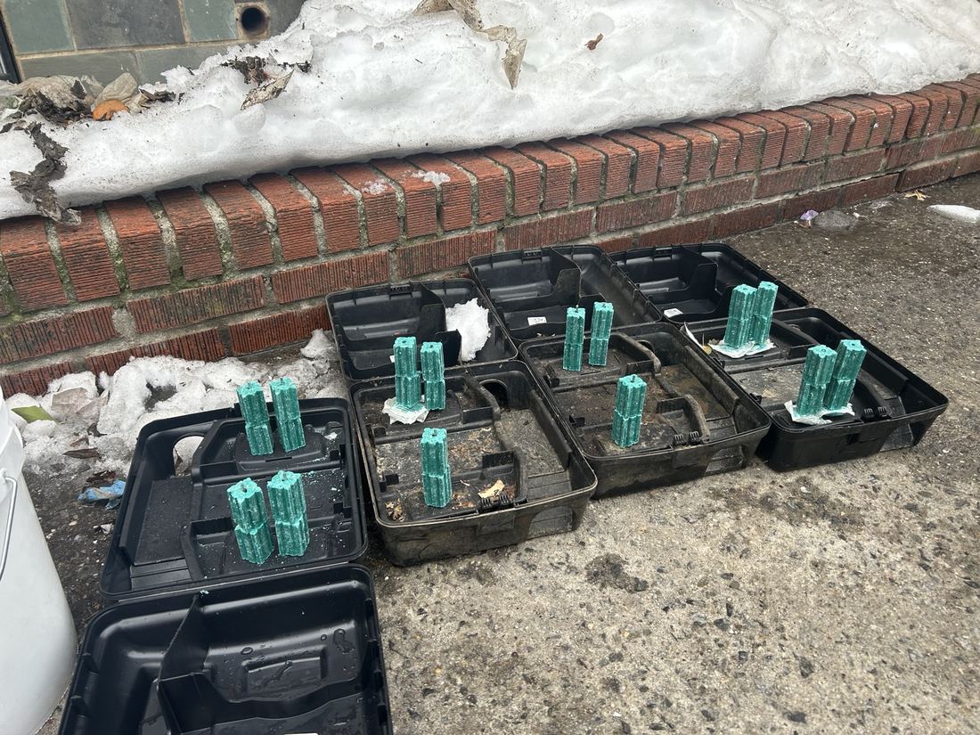Exterior tamper-resistant bait stations being serviced in winter