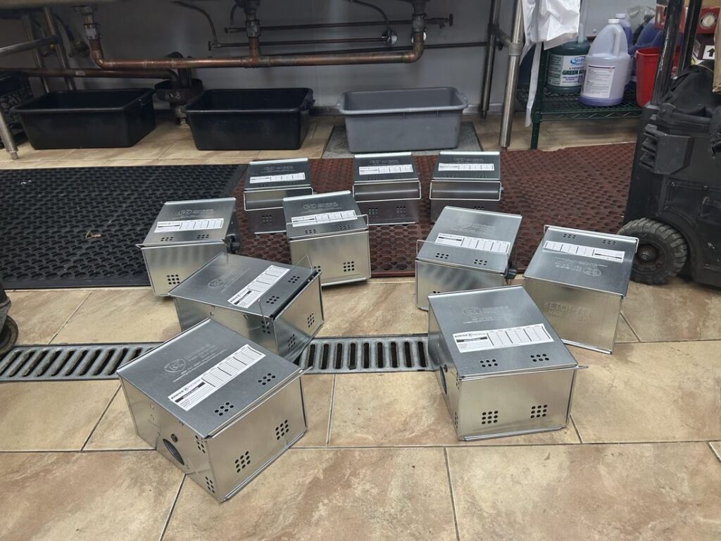 Galvanized multiple-catch mouse traps in a restaurant kitchen