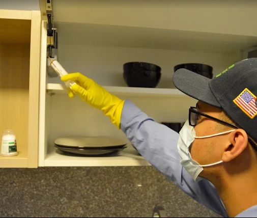 NYE technician applying gel bait into an upper kitchen cabinet hinge