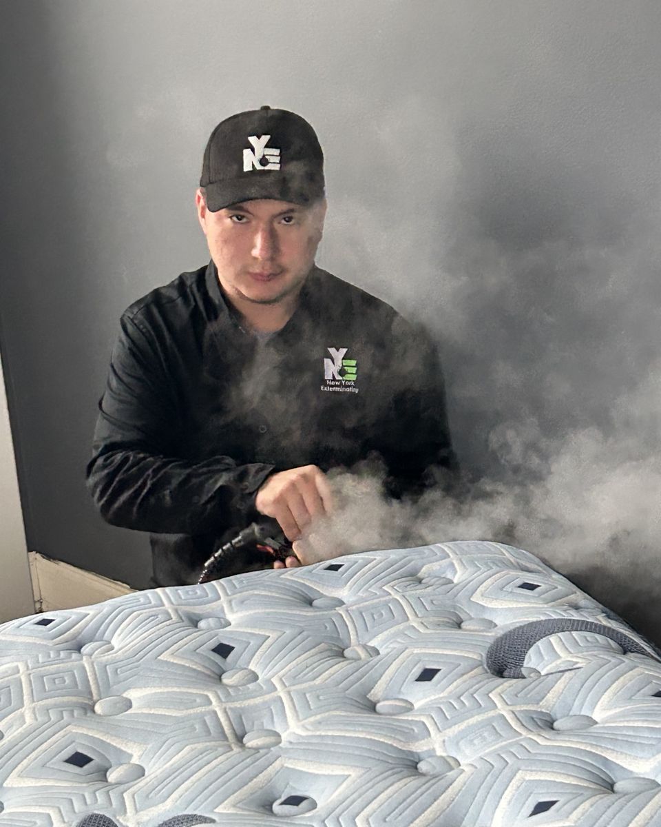 NYE technician in company cap and logo shirt steam-treating a mattress