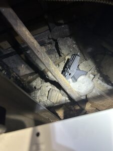 Rat caught in a snap trap placed inside a floor void during an NYE rodent job