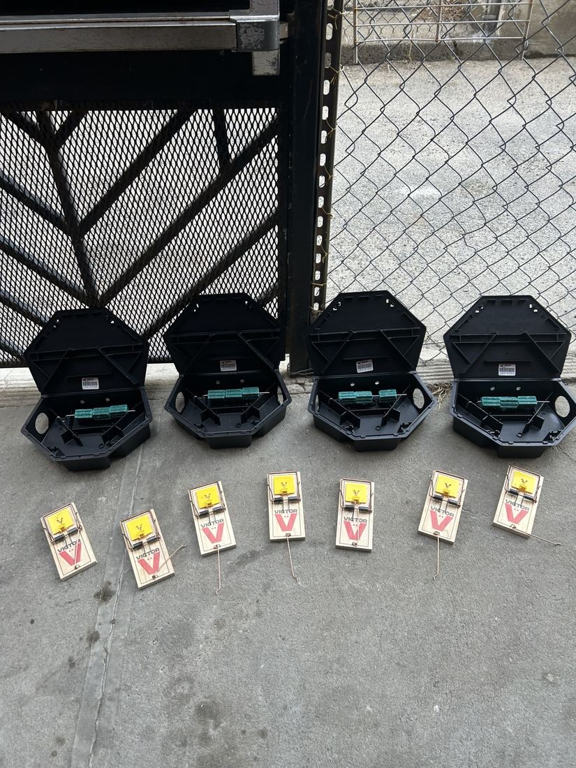Tamper-resistant rat bait stations and Victor snap traps ready for installation