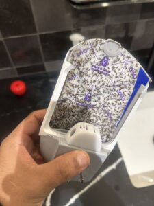 UV light fly trap glue card covered with hundreds of phorid flies from an NYC kitchen